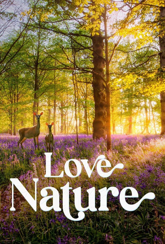 Love Nature S01E37 1080p WEB-DL H264-P147YPU5