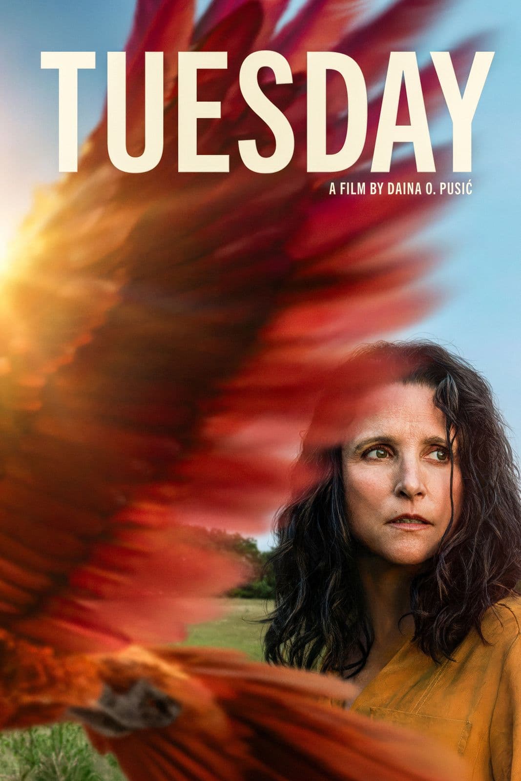 Tuesday 2023 1080p HMAX MULTI WEB DL DDP5 1 h264-SPWEB