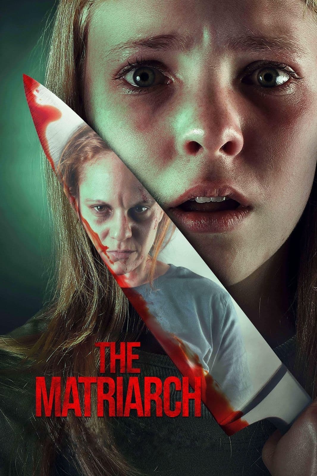 The Matriarch 2024 NORDIC 720p WEBRip-YTSGGYTSBZ