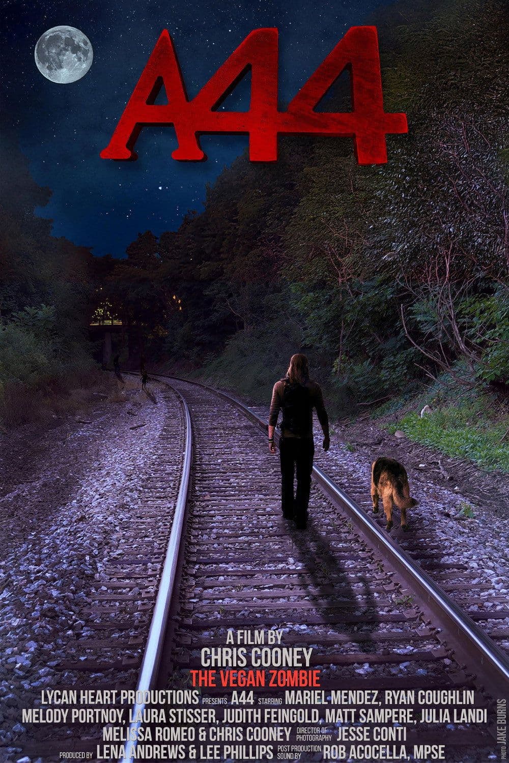 A44 2025 1080p WEBRip-LAMA