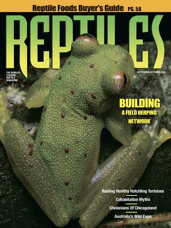 Reptiles Magazine - September/October 2026