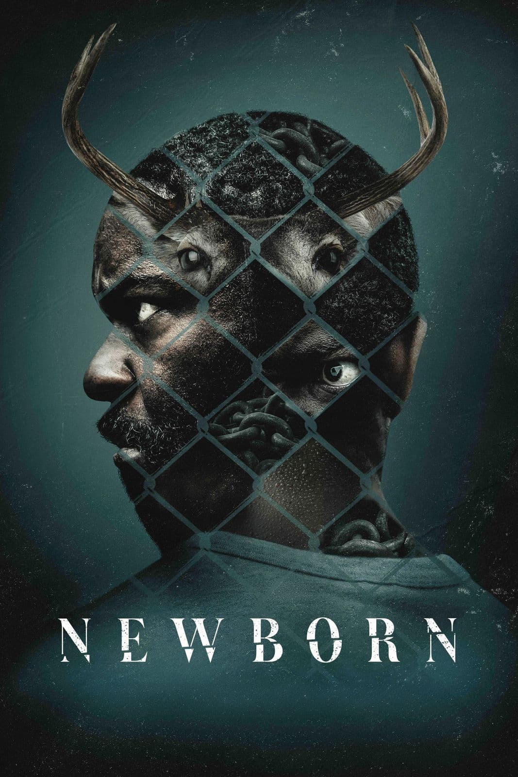 Newborn 2026 1080p AMZN WEB DL DD 5 1 H 264-playWEB