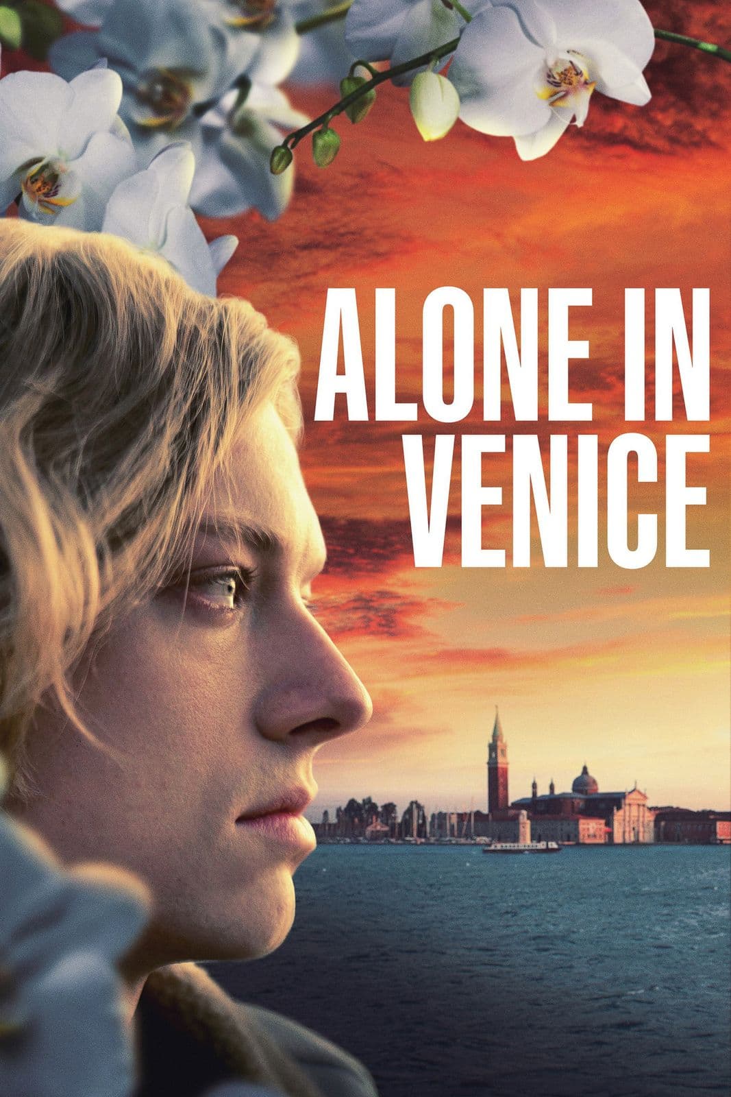 Alone in Venice 2025 1080p AMZN WEB DL DD 2 0 H 264-playWEB