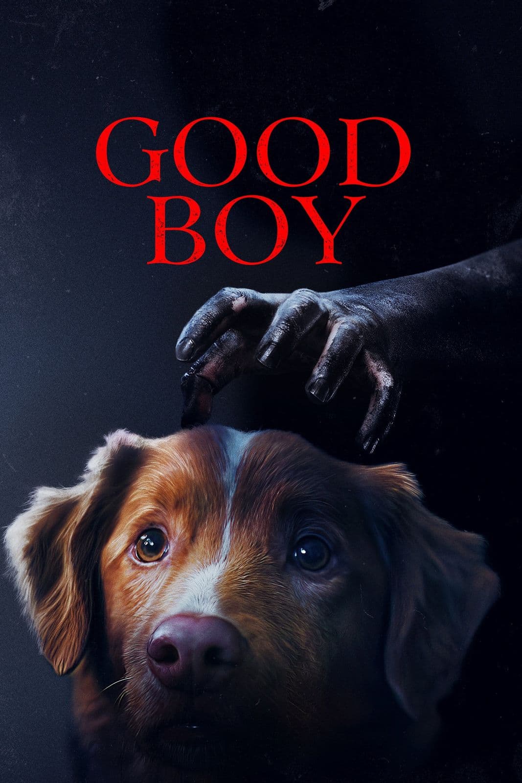 Good Boy 2025 m1080p BluRay x264-GeneMige