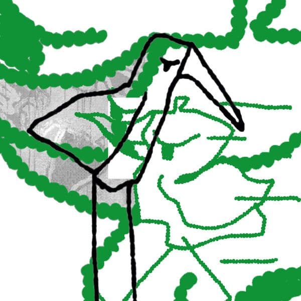 Birdguy-Niet_Zonder_Reden_Remixes_-_SOHASO059_-WEB-2025-BABAS