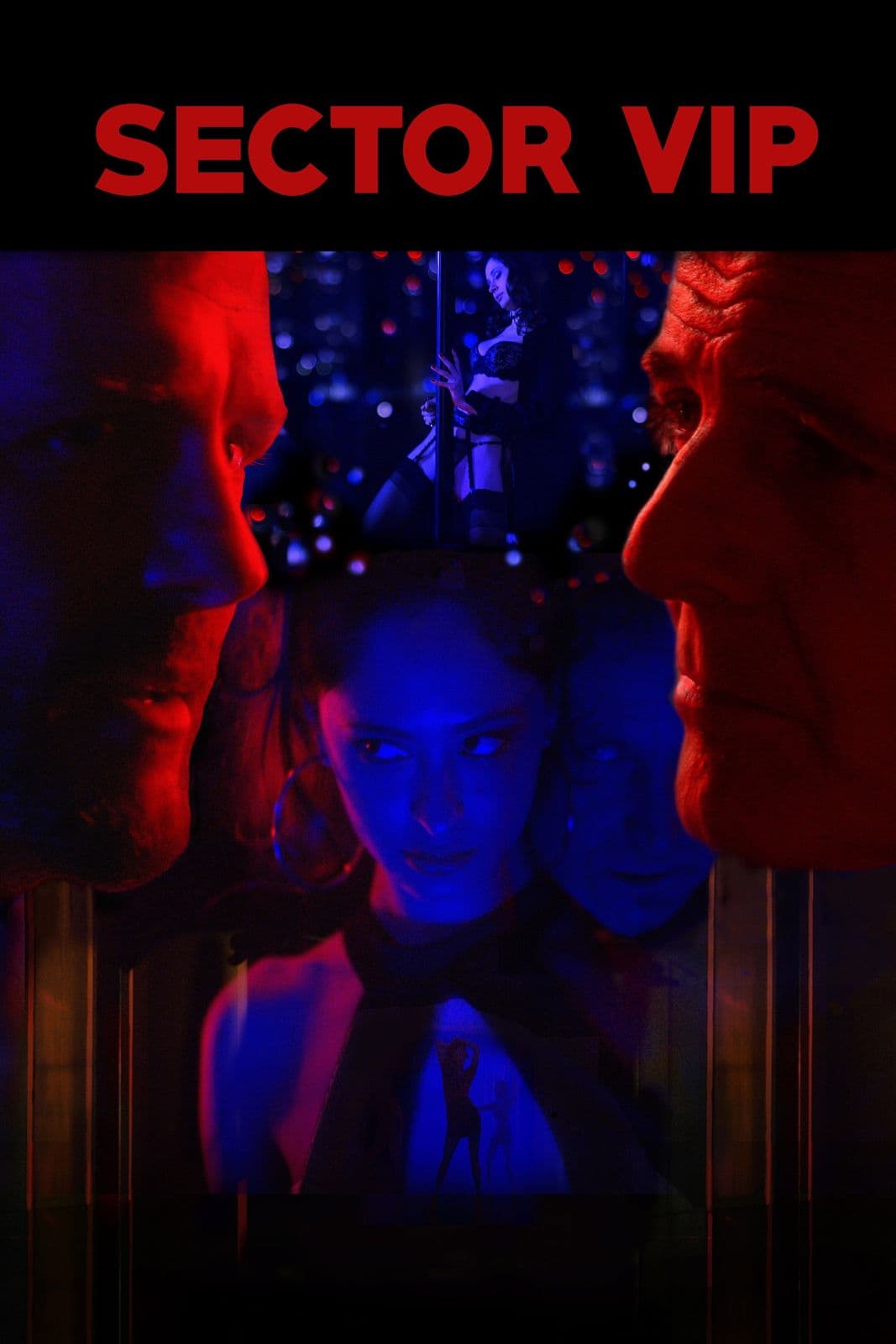 Sector VIP 2021 720p WEB H264-AFO